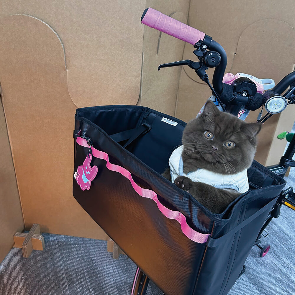 A-Bike-Basket-Bag-Could-Transport-Cute-Cat