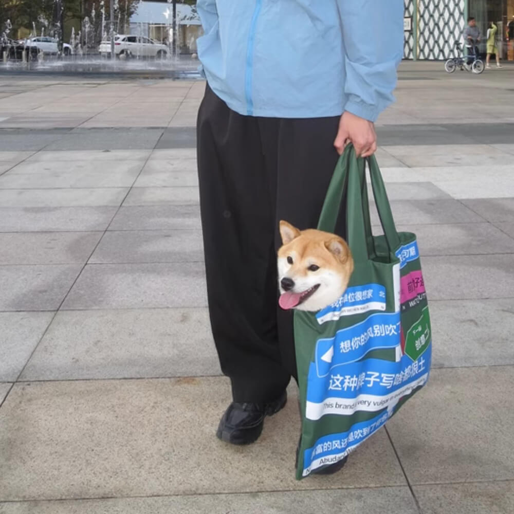 A-big-enough-and-durable-enough-tote-bag-pet-carrier