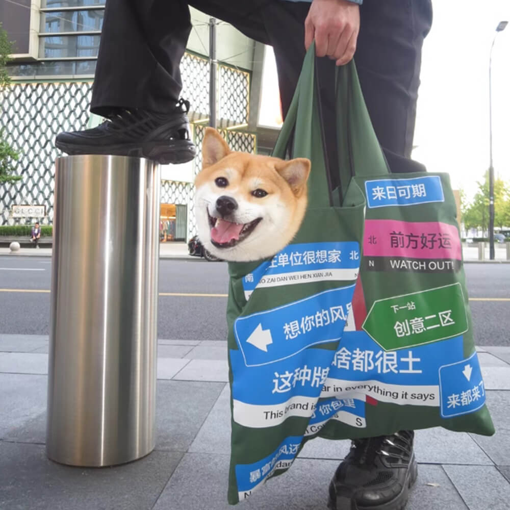 An-Eyecatching-Shopping-Tote-Which-Could-Transport-Your-Dog-Buddie