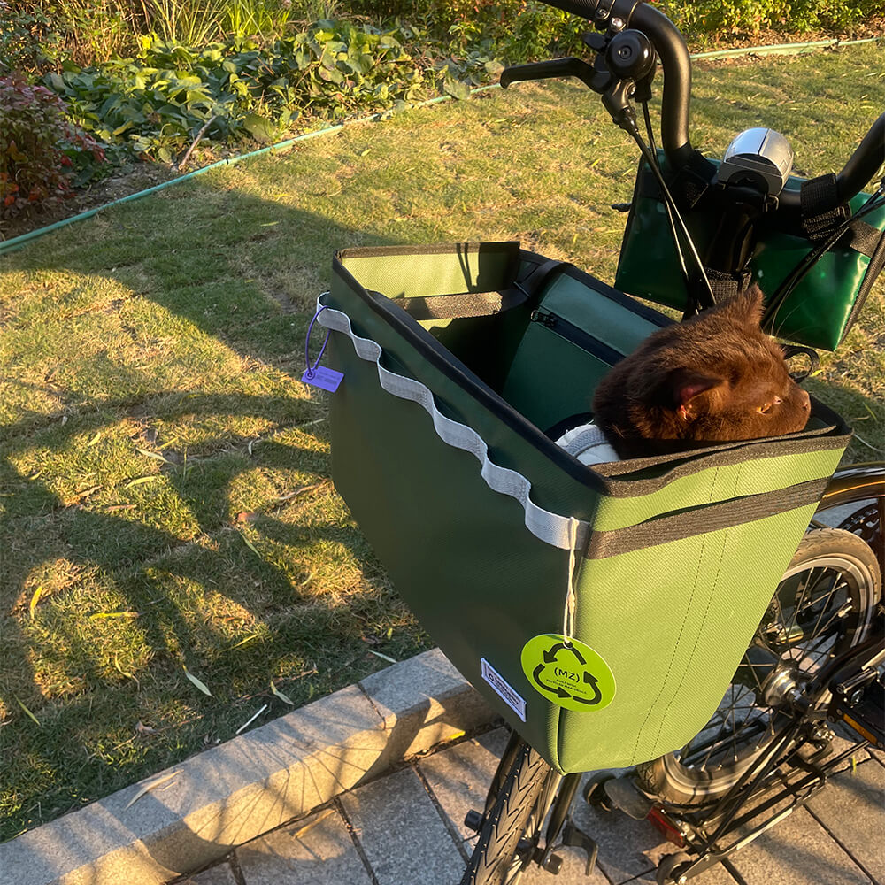 There-is-a-cat-cutie-in-my-new-avocado-brompton-basket